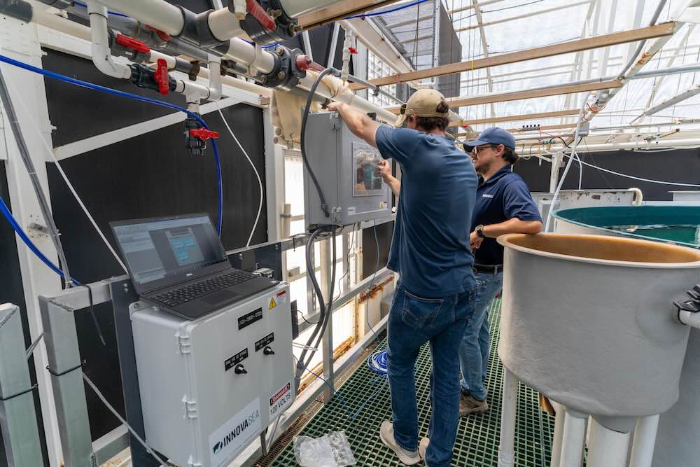 Technical and strategic consulting for aquaculture projects, including feasibility studies, farm planning, production optimization, and risk management.